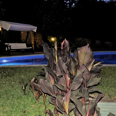 Villa Sis Holiday Palermo