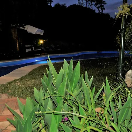 Sis Holiday Villa Palermo